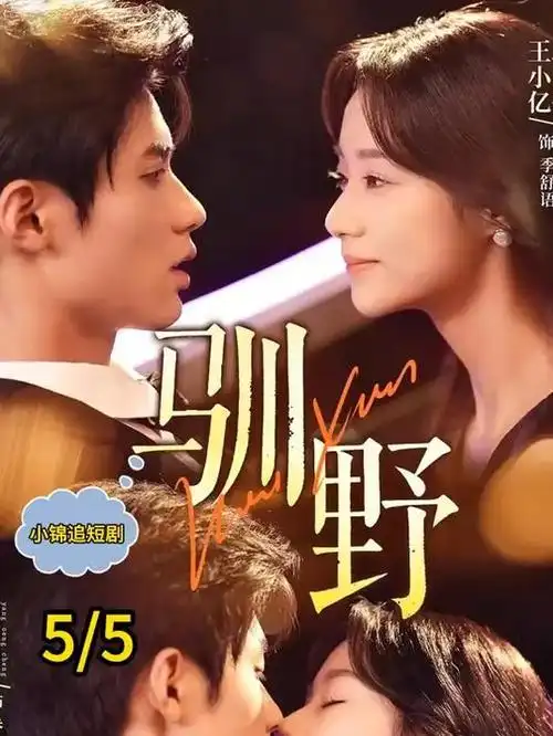 重生之我在县城当老板 短剧免费看全集